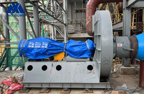 偠tL(fng)C(j)ʲô